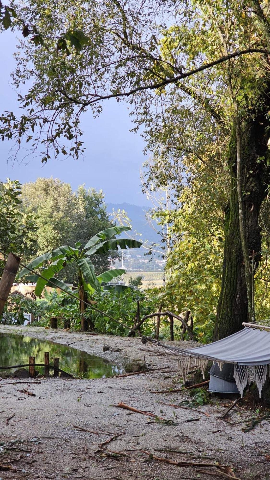 Hotel Quinta Miminel Rabuide Esterno foto
